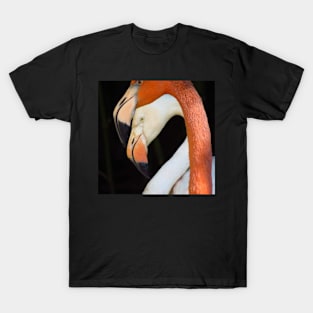 Caribbean Flamingo T-Shirt